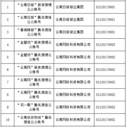 云南信息報(bào)旗下六產(chǎn)品獲首批互聯(lián)網(wǎng)新聞信息服務(wù)許可，賦能區(qū)域信息服務(wù)新格局